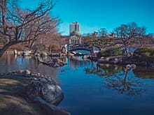 Jackson Park Lagoon