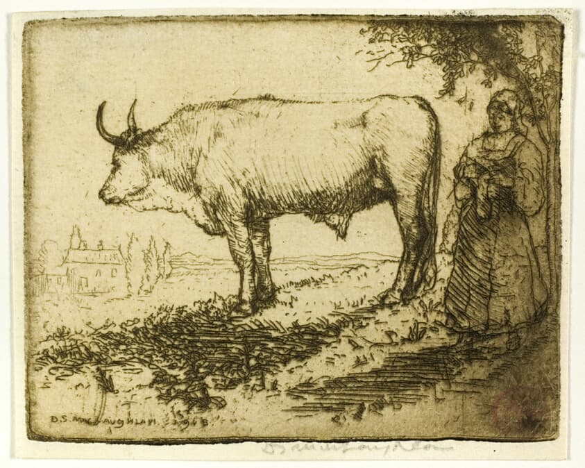 Ox